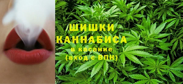 бошки Бронницы