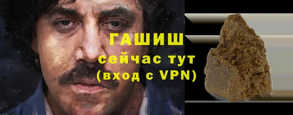 гидра Бородино