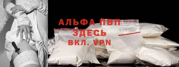 гидра Бородино