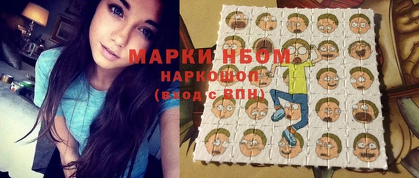 бошки Бронницы