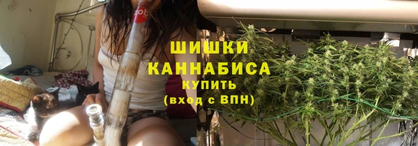 гидра Бородино