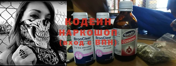 гидра Бородино