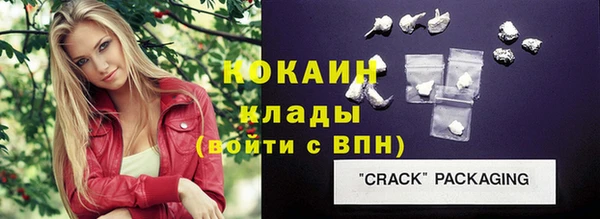 гидра Бородино