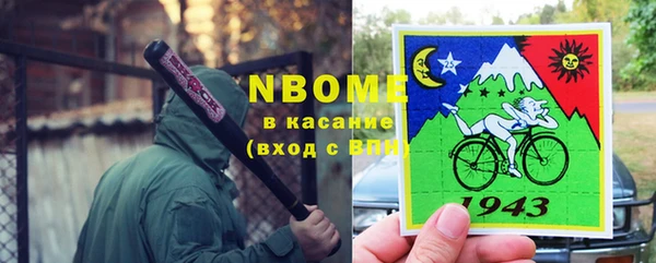 бошки Бронницы