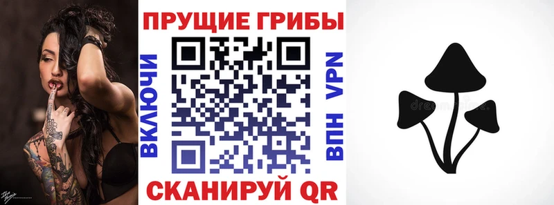 Псилоцибиновые грибы Magic Shrooms  Купить закладки  Глазов 